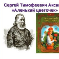 «АЛЕНЬКИЙ ЦВЕТОЧЕК»